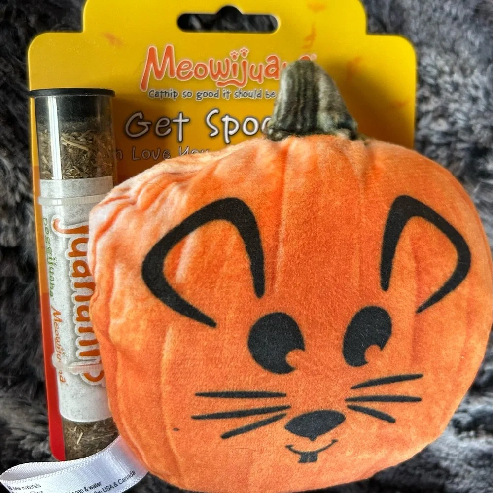 Halloween Cat toys Catnip Pumpkin witches